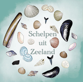 Ansichtkaart Zeeland &ndash; Schelpen uit Zeeland