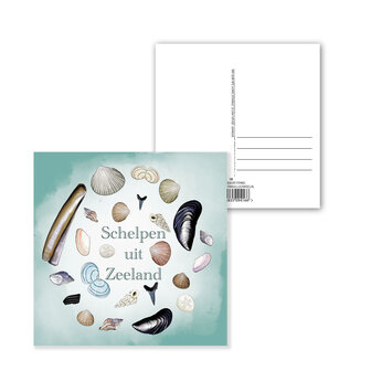 Ansichtkaart Zeeland &ndash; Schelpen uit Zeeland