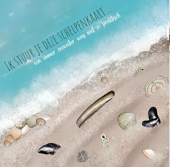 Ansichtkaart Zeeland &ndash; Schelpen aan het strand | 15x15 cm