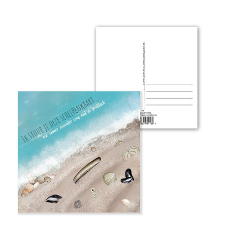 Ansichtkaart Zeeland – Schelpen aan het strand | 15x15 cm