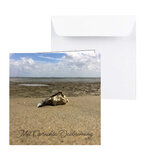 condoleancekaart eenzame oester condoleancekaart eenzame oester